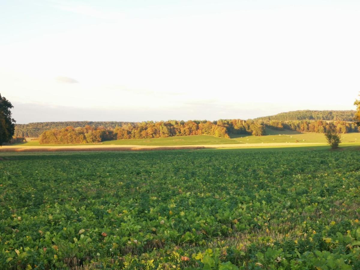 La Mirabelle Des 3 Forets Bricon Zewnętrze zdjęcie